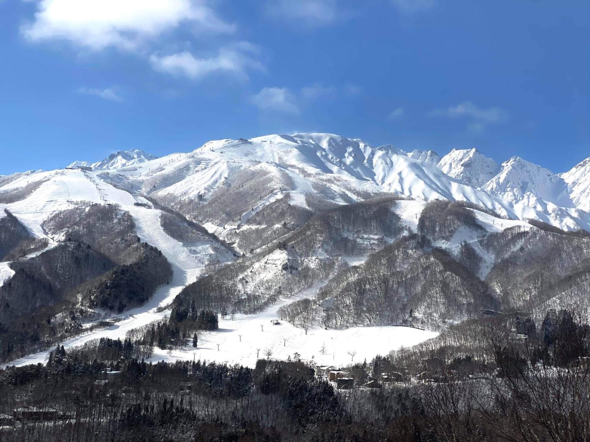Villa Winterfell Hakuba Exterior foto