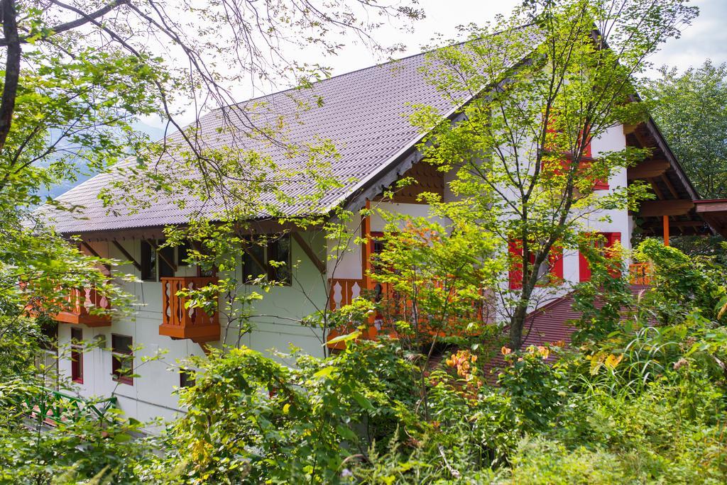 Villa Winterfell Hakuba Exterior foto